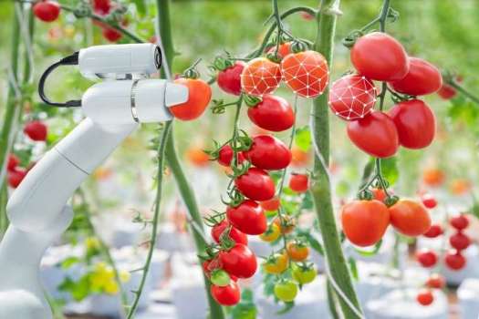 Maximizing the Efficiency of Agricultural Robots