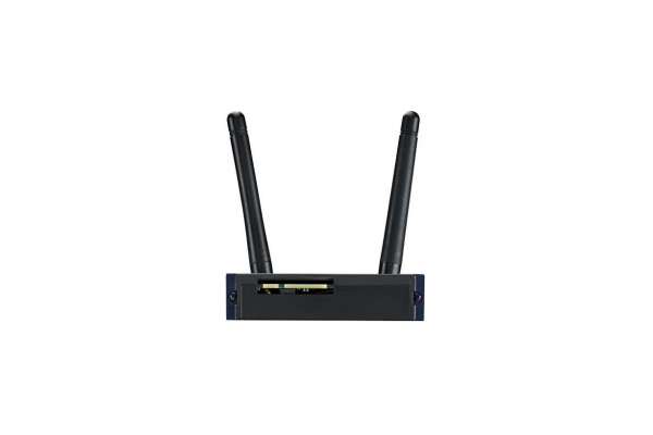 Modular iDoor Box with Wi-Fi, Bluetooth, and Antennas Advantech PCM-24BXWF